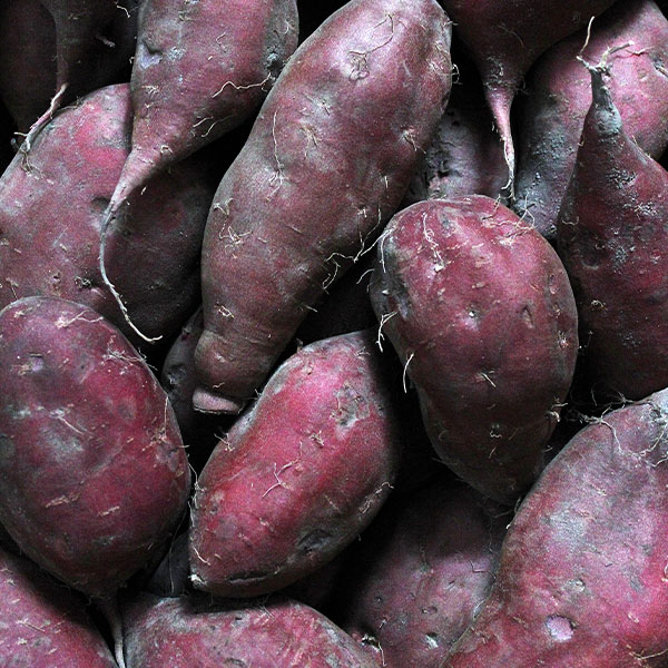 Süßkartoffeln von POIS – Natürlich Portugal.