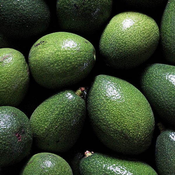 Avocado von POIS – Natürlich Portugal.