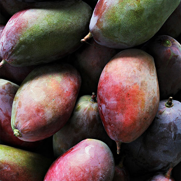 Mango von POIS – Natürlich Portugal.
