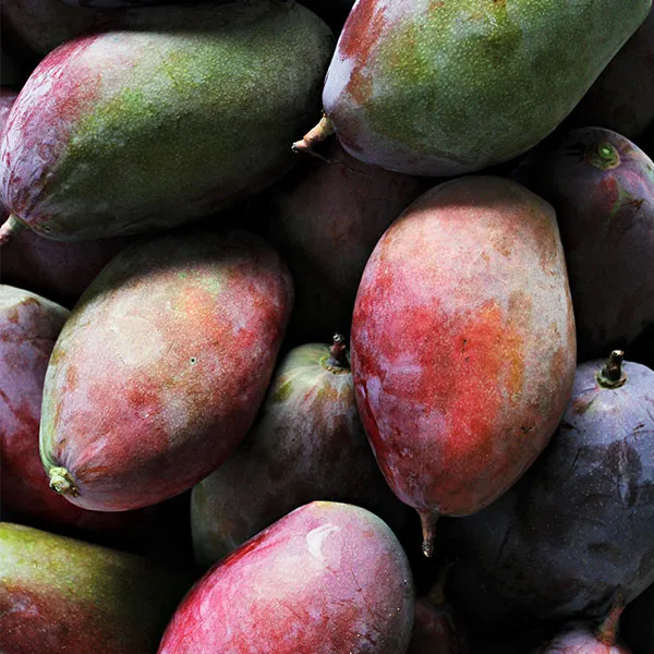Mango von POIS – Natürlich Portugal.