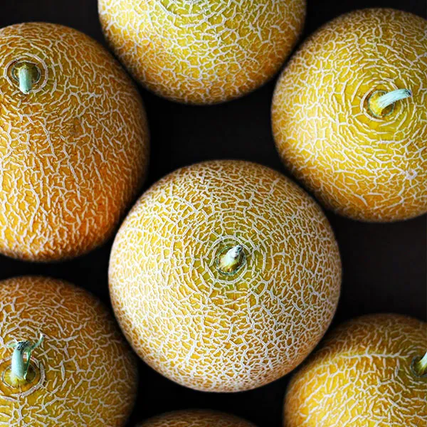Galia Melonen von POIS – Natürlich Portugal.