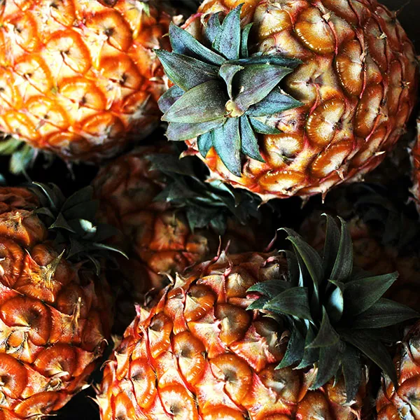 Azoren Ananas von POIS – Natürlich Portugal.