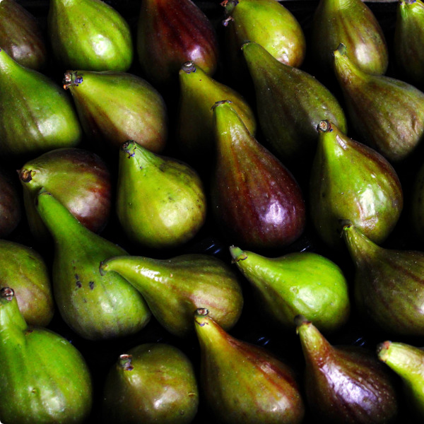 Feigen von POIS – Natürlich Portugal.