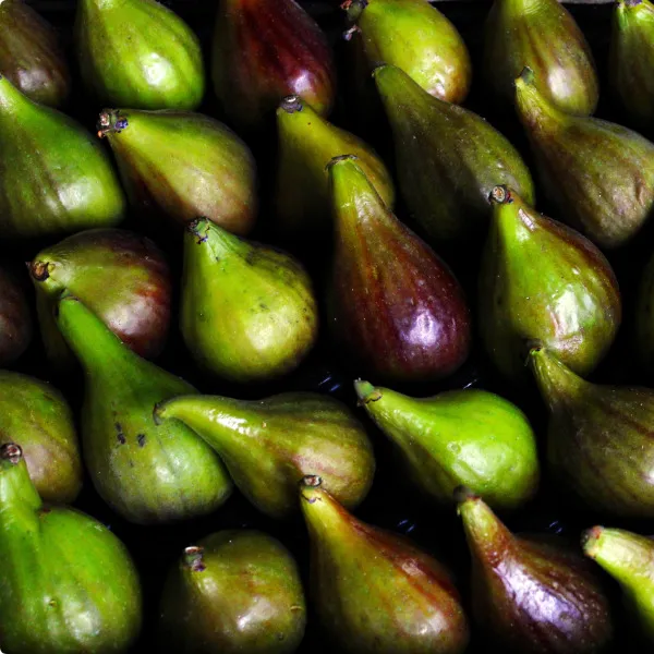 Feigen von POIS – Natürlich Portugal.