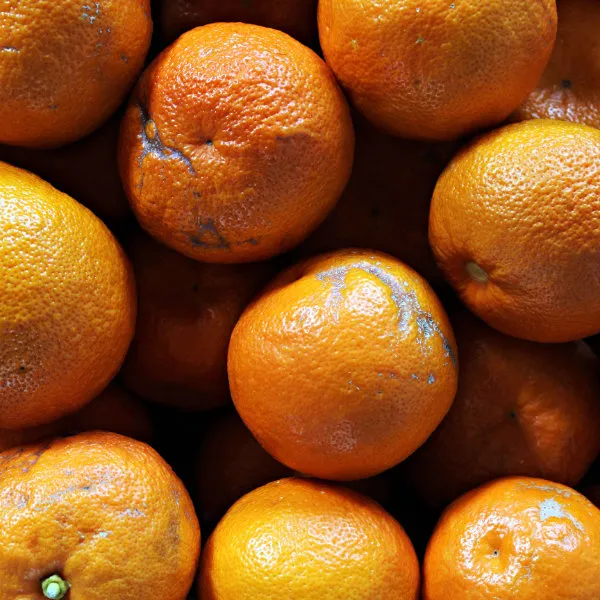 Bitterorangen von POIS – Natürlich Portugal.