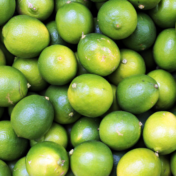 Limetten von POIS – Natürlich Portugal.