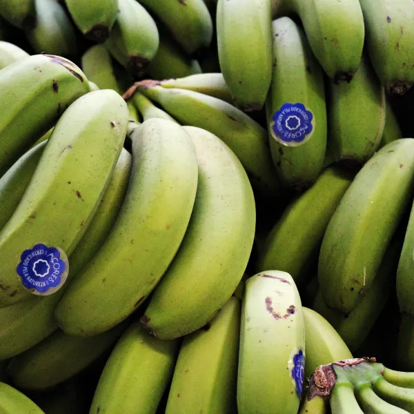 Azoren Bananen von POIS – Natürlich Portugal.