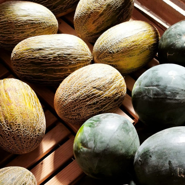 Melonen von POIS – Natürlich Portugal.