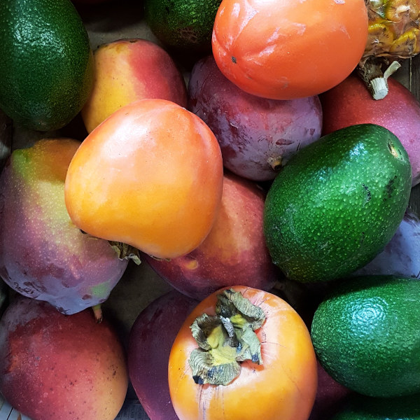 POIS – Natürlich Portugal. Faires Obst und Gemüse in Stuttgart und Winnenden