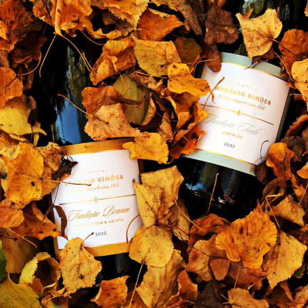 Horácio Simões Tradição Weißwein und Rotwein bei POIS – Natürlich Portugal