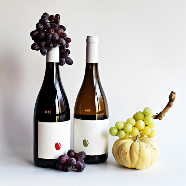 Bal da Madre Bio-Weißwein und Rotwein Beira Interior DOC bei POIS – Natürlich Portugal
