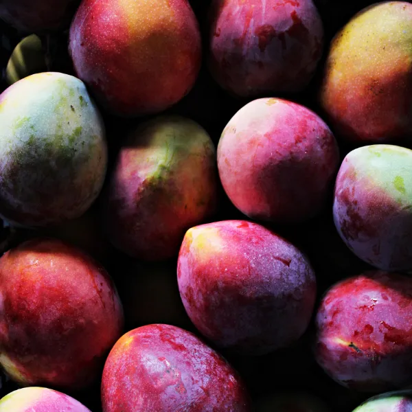 pois_portugal_bempflingen_teaser_14 Mango von POIS – Natürlich Portugal.