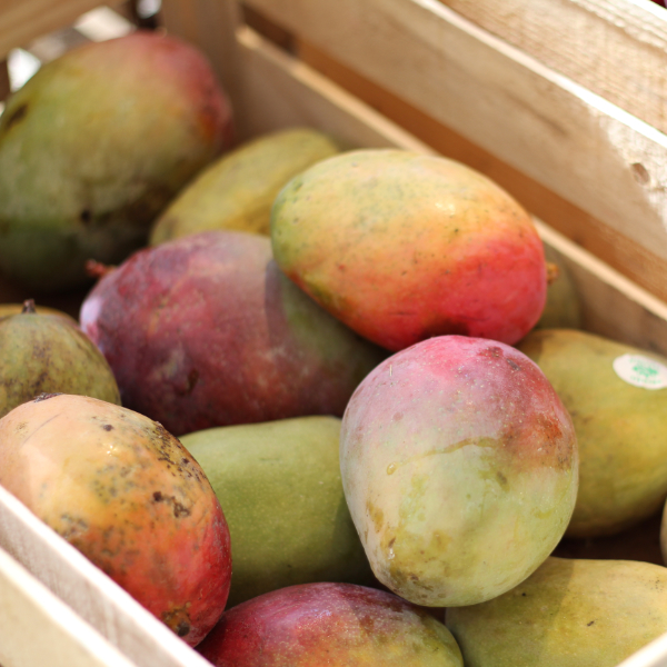 Mango von POIS – Natürlich Portugal. Mango von POIS – Natürlich Portugal.