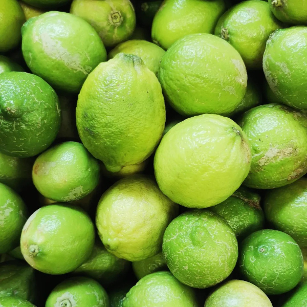 Zitronen von POIS – Natürlich Portugal.