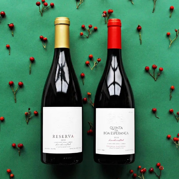 pois_portugal_winnenden_teaser_19 Quinta da Boa Esperança Reserva Weißwein und Touriga Nacional Rotwein bei POIS – Natürlich Portugal