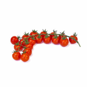 Frische reife unbehandelte Kirschtomaten aus Portugal