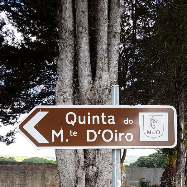 Quinta do Monte d'Oiro Bio-Wein aus der Region Lissabon bei POIS