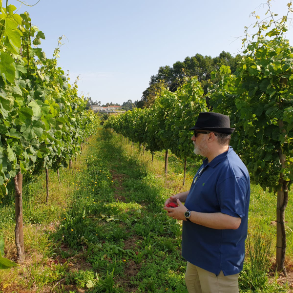 Winzer und Weinprofessor Paulo Matos, Quinta de Paços