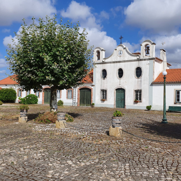 Quinta do Monte d'Oiro Bio-Wein aus der Region Lissabon bei POIS
