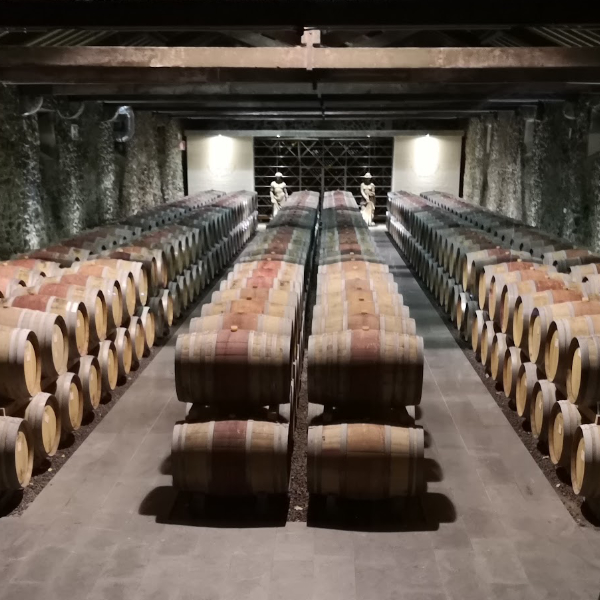 Weinkeller der Quinta Monte d'Oiro