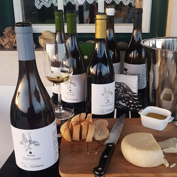 Weintasting auf der Quinta do Lagar Novo in Alenquer