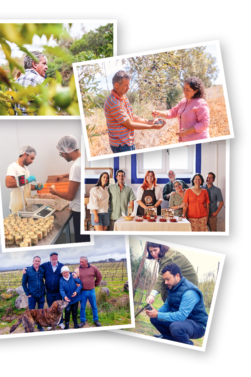 Erzeuger, Kleinbauern und Lieferanten aus Portugal