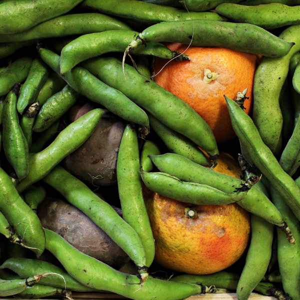 Unbehandeltes Obst und Gemüse aus Portugal Unbehandeltes Obst und Gemüse aus Portugal