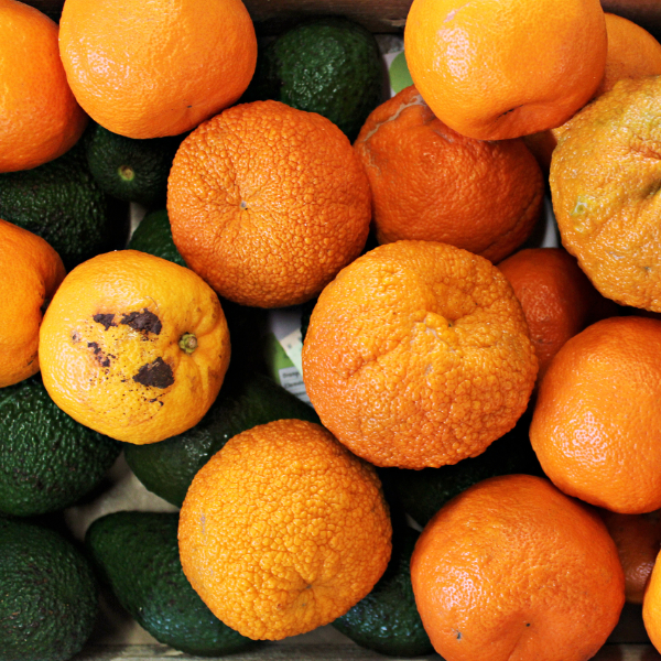 Unbehandeltes Obst aus Portugal Unbehandeltes Obst aus Portugal