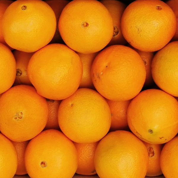 Saftige unbehandelte Orangen aus Portugal Saftige unbehandelte Orangen aus Portugal