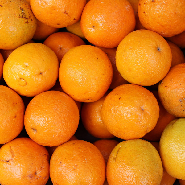 Saftige unbehandelte Orangen aus Portugal Saftige unbehandelte Orangen aus Portugal