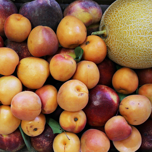 Unbehandeltes Obst aus Portugal Unbehandeltes Obst aus Portugal