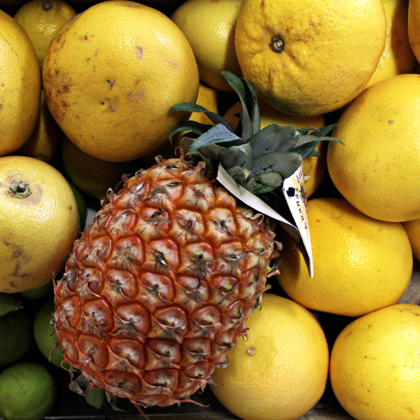 Unbehandeltes Obst aus Portugal Unbehandeltes Obst aus Portugal
