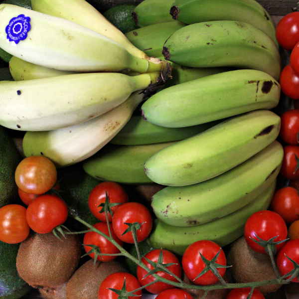 Unbehandeltes Obst und Gemüse aus Portugal Unbehandeltes Obst und Gemüse aus Portugal