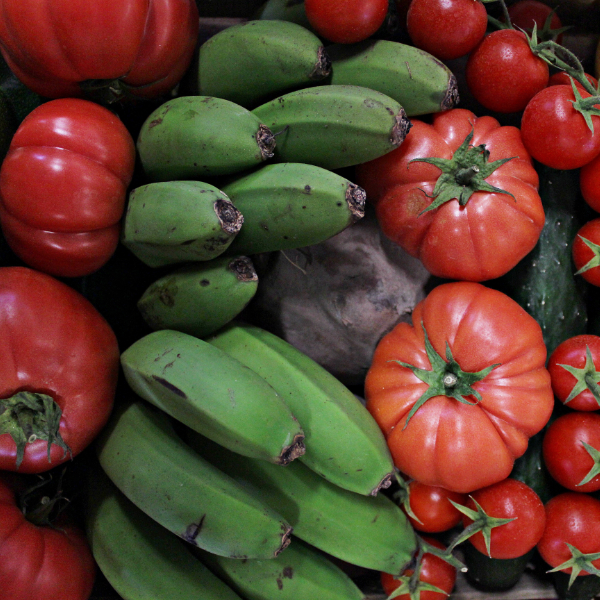 Unbehandeltes Obst und Gemüse aus Portugal Unbehandeltes Obst und Gemüse aus Portugal