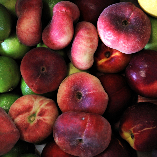 Unbehandeltes Obst aus Portugal Unbehandeltes Obst aus Portugal