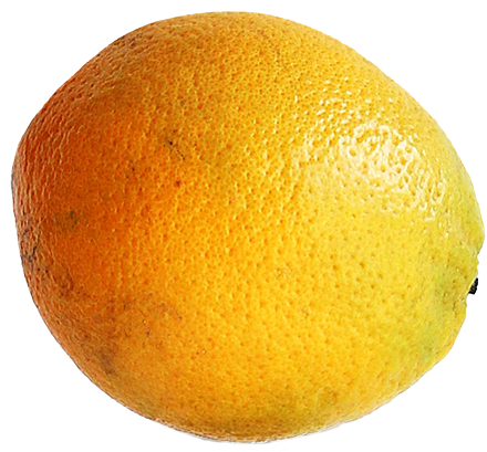 Freigestellte Orange