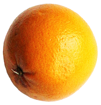 Freigestellte Orange